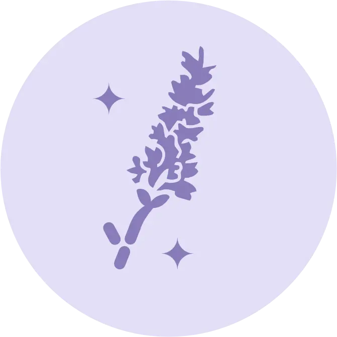 lavender